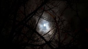 Коррекция Судьбы при помощи Арканов Таро