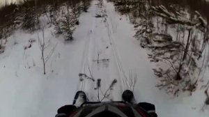 на снегоходе рыбоход по лесу