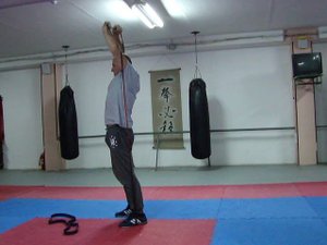 Резиновые петли