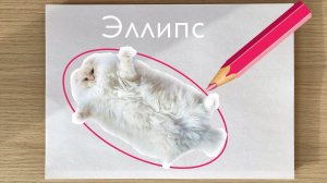 Эллипс. Построение и параметры | Аналитическая геометрия