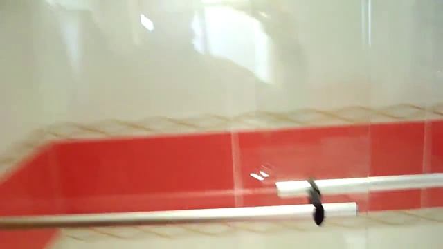 совмещённый санузел с фальш-окном ремонт квартир в саратове 89085457188 смотреть онлайн