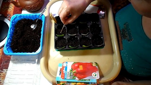 Сажаем перцы, поздние сорта. Естественный отбор. смотреть онлайн