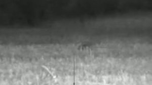 Юкон фотон рт охота