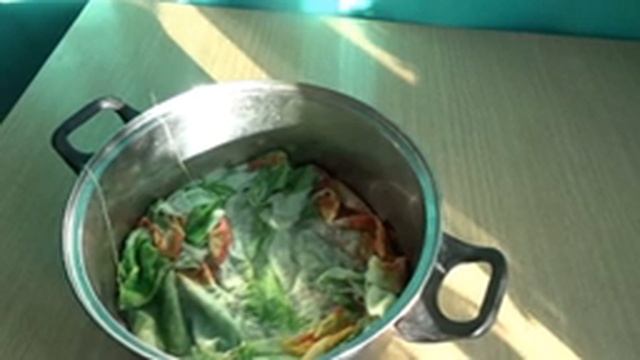 Пророщенная пшеница за 2 дня!