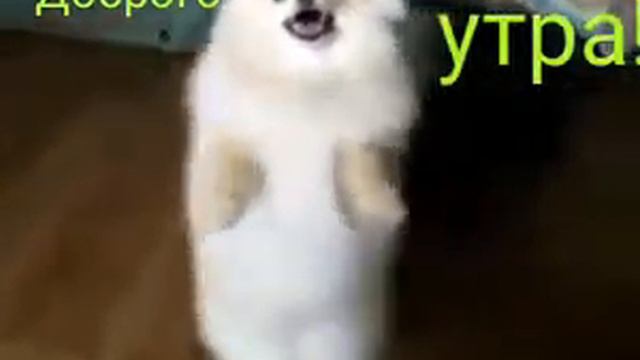 30 октября 2018 г. смотреть онлайн