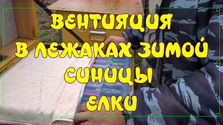 ВЕНТИЯЦИЯ В ЛЕЖАКАХ ЗИМОЙ, СИНИЦЫ, ЕЛКИ (VENEZIA IN LEŽÁKY, TIT, TREE (JUST A LITTLE) смотреть онлайн