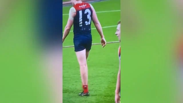 AFL premiership edit Melbourne