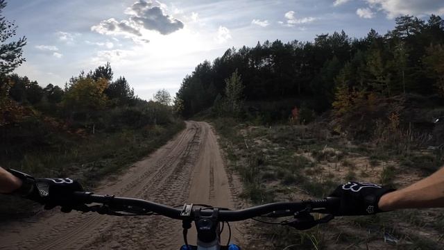 Лесопарк «Лебяжье»