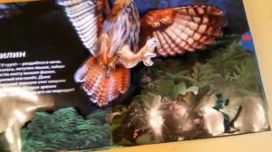 Живая книга леса. 3D со звуками