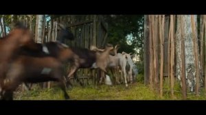 БЕЗ ПАНИКИ 2024