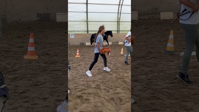 Хоббихорсинг. Учим галоп