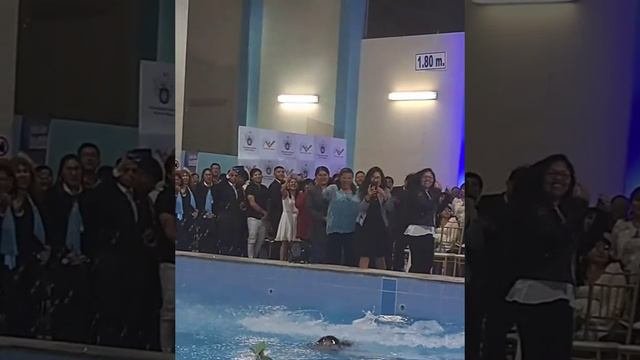 как замуж захотела