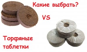 Какие выбрать торфяные таблетки?Наглядный эксперимент!
