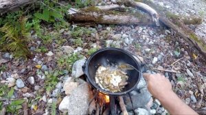 ОБЫКНОВЕННОЕ ПУТЕШЕСТВИЕ ПО НЕОБЫКНОВЕННОЙ ПРИМОРСКОЙ УССУРИЙСКОЙ ТАЙГЕ. Рыбалка, тайга, дикоросы.