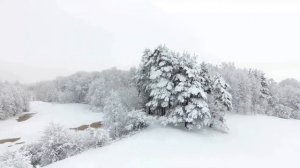 #11 МОЛИТВА.СВЯТЫЕ ОТЦЫ-МИРЯНАМ.