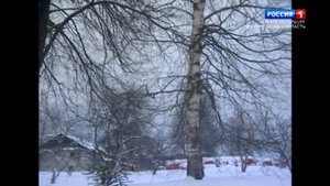 Заповедная область. Бокситогорск