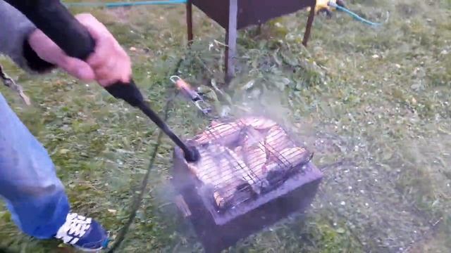 Чистим рыбу Керхером..