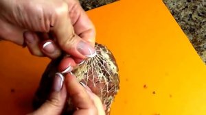 Мясные рецепты. Вкусный мясной орех в мультиварке.