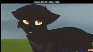 Коты Воители:Грач и Сумеречница