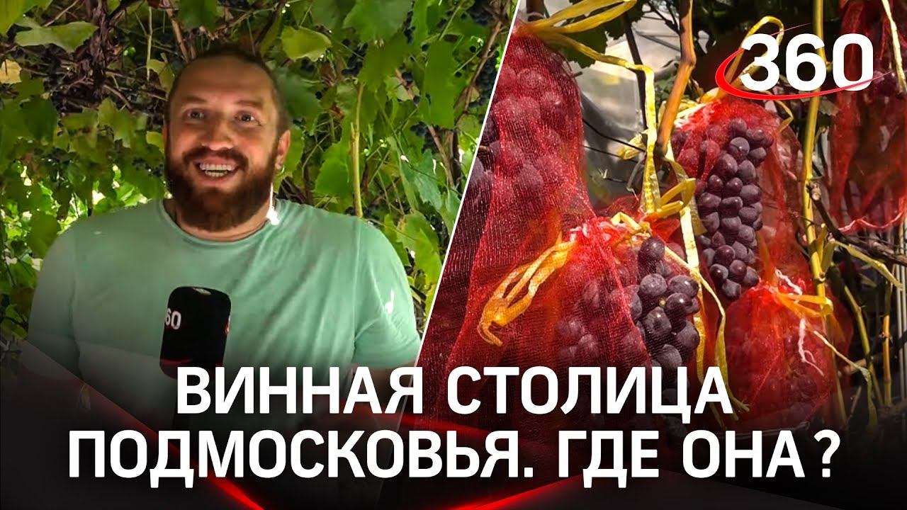 Как вырастить виноград, бананы  и хурму в Подмосковье. Секреты от фермера из Луховиц