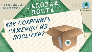 Садовая почта: Как сохранить саженцы из посылки? Выпуск 2