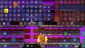 рабочие серверы в terraria 1.4.4.9.5