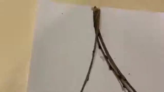 Осеняя поделка.Поделка из осенних листьев