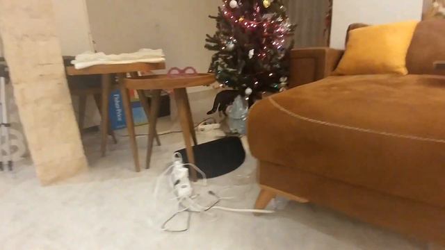 Подарок для кошки Алины.Мышка для Алинки.Видео для детей.Игра для детей. смотреть онлайн