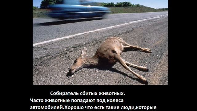 Самые необычные профессии.
