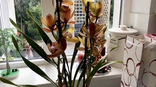 ВСЕМ СПАСИБО ЗА ПОЗДРАВЛЕНИЯ?ПОДАРКИ КО ДНЮ РОЖДЕНИЯ?THANK YOU FOR LOVELY BIRTHDAY PRESENTS?@Amond