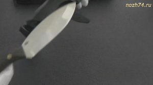 Нож Траппер-С (Накладки текстолит, 95Х18) - nozh74.ru