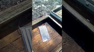 пробный обогрев пчёл