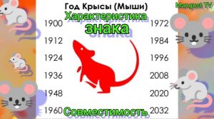 ?ГОД КРЫСЫ (МЫШИ)? ХАРАКТЕРИСТИКА ПО ГОДУ РОЖДЕНИЯ. ГОРОСКОП.