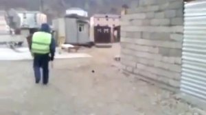 Гаишник на осле