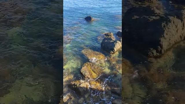 Омывается водами Чёрного моря Фороский берег.