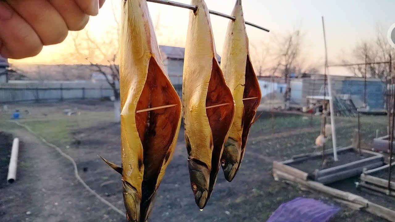 ВКУСНЕЕ ШАШЛЫКА ИЗ СКУМБРИИ может только этот РЕЦЕПТ делюсь с вами