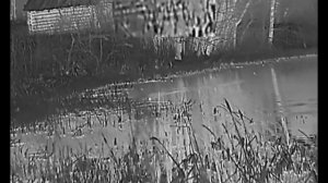 Yukon Nordforce XQ30 - новый тепловизионный прицел от Pulsar. Первые тесты в угодьях!