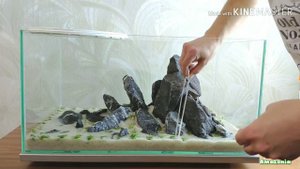 Ивагуми 70 литров: посадка растений