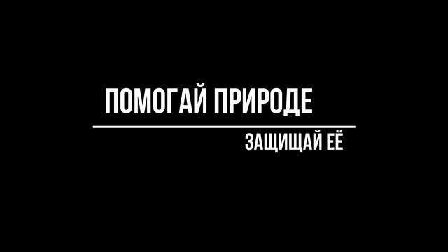 Чистый Брянск смотреть онлайн