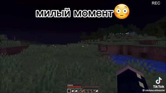 никита берг с касандрой💙