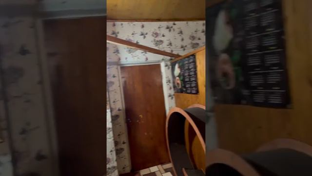 Пуся решила помочь братцу Чепусику выполнить вечернее задание 😻 #котята #коты #кошка смотреть онлайн