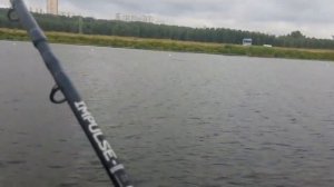 ВОТ ЭТО ЛЕЩ ! ЛЕЩ НА ФИДЕР. #рыбалка #лещнафидер #рыбалканафидер