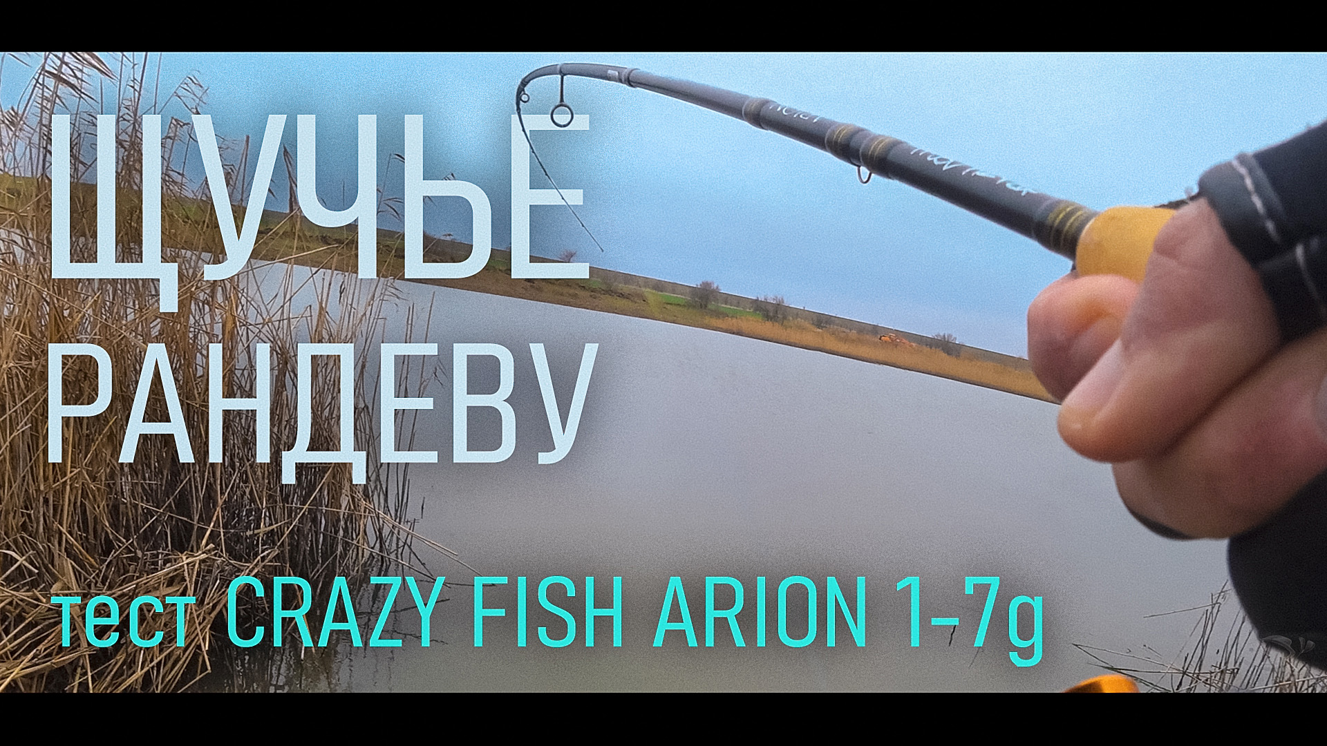 Crazy тест. Crazy Fish Arion 1-7. Crazy Fish Arion 742 ULS. Спиннинг Arion asre742suls 0.8-5гр. Crazy Fish Arion 702uls 0.7-5g.