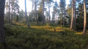 Sunrise walk in Seurasaari Island, Helsinki - Aamukävely Seurasaaressa