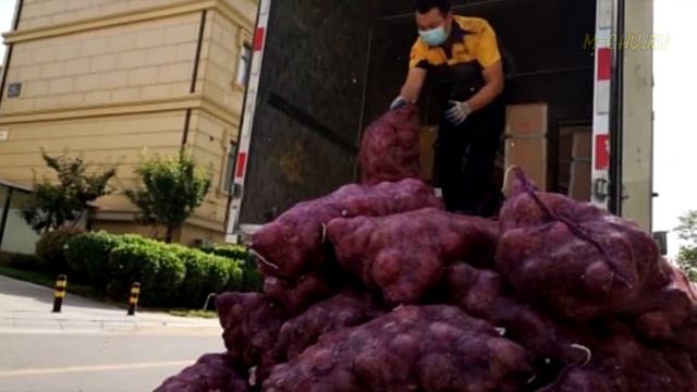 Китаянка решила заставить бывшего плакать после расставания. Вы не поверите что она придумала. смотреть онлайн