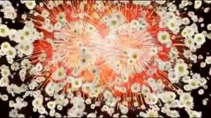 ФУТАЖ - САЛЮТ ЦВЕТАМИ.