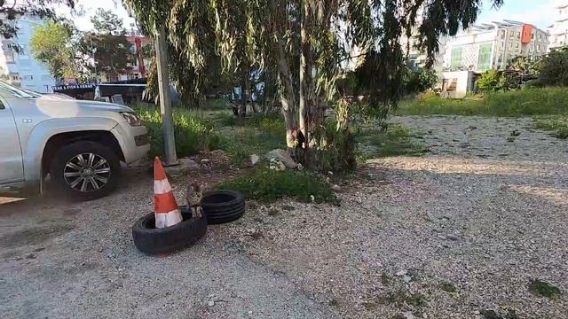 Ангина /Лекарства в Турции /Тонкие блины /Гуляш как в детстве /Солю форель смотреть онлайн