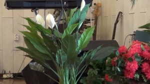 Песня ''Шалом, мои друзья'' и стихи (воскресная школа ц. Назарет, 2014)