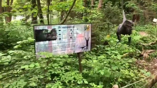Куда поехать с детьми летом в Калининграде?Парк Янтарного периода ? Светлогорск-Отрадное