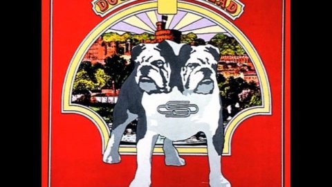 Status Quo-Gerdundula HQ